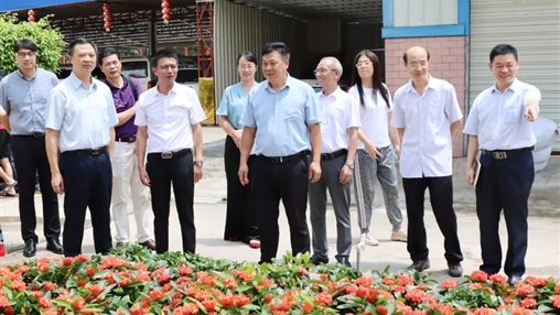 自治區(qū)政協(xié)常委、梧州市政協(xié)主席黃振饒蒞臨百裕集團走訪調研